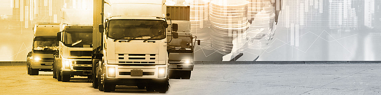 Transportversicherung - Rechtsfragen