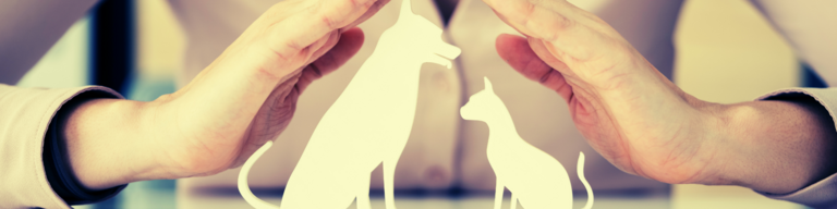 Haftung und Deckung rund ums Tier