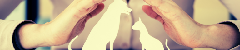 Haftung und Deckung rund ums Tier