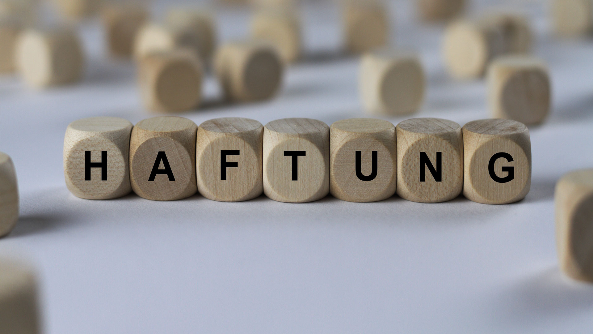 VF307 Haftung